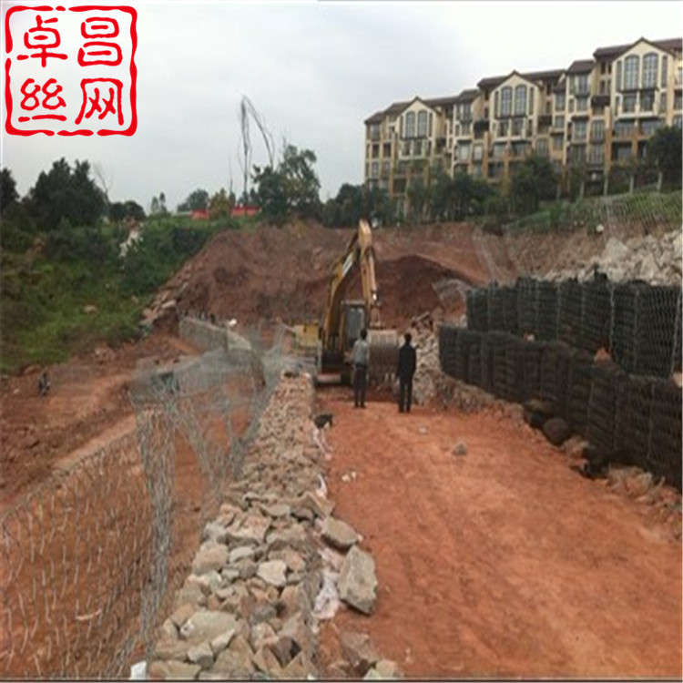 卓昌 (304).jpg