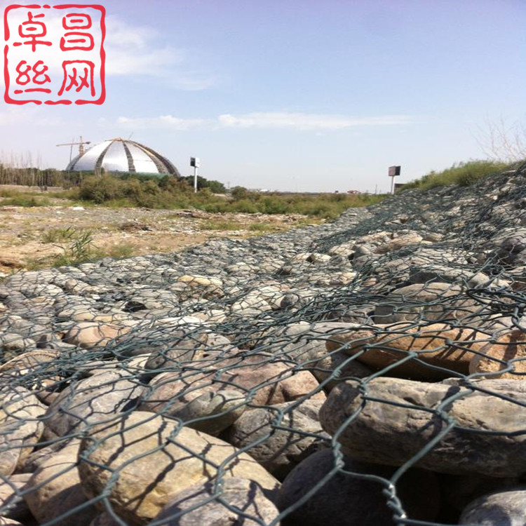 卓昌 (469)_副本.jpg