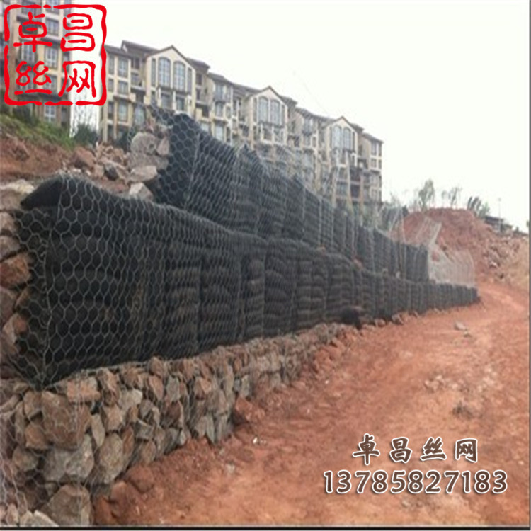 卓昌 (302).jpg