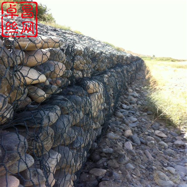 卓昌 (464).jpg